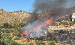 Bodrum'da otluk ve makilik alanda yangın (2)