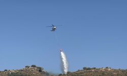Bodrum'da otluk ve makilik alanda yangın (3)