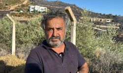 Bodrum'da otluk ve makilik alanda yangın (4)