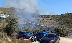 Bodrum'da otluk ve makilik alanda yangın