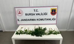 Bursa'da uyuşturucu operasyonu; 3 gözaltı