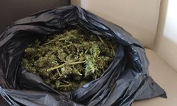 Bursa'daki uyuşturucu operasyonunda yönetmen Ezel Akay ve kardeşi gözaltına alındı