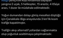 Çanakkale Biga'da tarım arazisinde yangın
