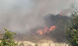 Çanakkale'de orman yangını