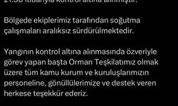 Çanakkale'de tarım arazisinde yangın (2)