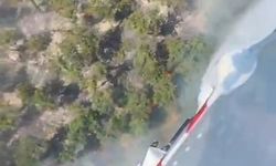 Çatalca'da orman yangını-1
