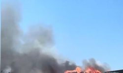 Çatalca'da otluk alanda yangın -1