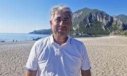 Çıralı sahilinde yavru deniz kaplumbağalarının zorlu yolculuğu başladı