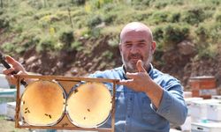 Coğrafi işaretli Bingöl balında hasat zamanı / Ek fotoğraflar