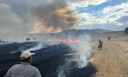 Çorum'da anız yangını