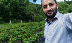Çorum'da köye inen ayılar bahçelere zarar verdi