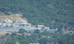 Cunda Adası'nda orman yangını