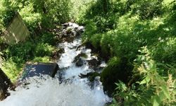 Dağların arasında 3 asırlık yaşam pınarı; saniyede 120 litre akıyor / Ek fotoğraflar