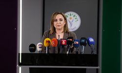 DEM Parti'li Doğan: Çerçeve yasa taslağı hazırlıkları için son aşamadayız