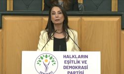 DEM Parti'li Hatimoğulları: Çerçeve yasa mutabakatla çıkmalı