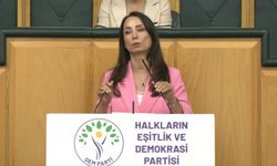 DEM Parti'li Hatimoğulları: Temmuz ayında çerçeve yasayı çıkaralım