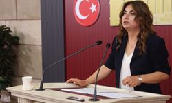 DEM Parti'li Koçyiğit: AKP'nin bu hafta yasa taslağını İmralı heyetimize aktarmasını bekliyoruz