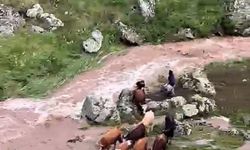 Derede mahsur kalan ineklerden 4'ü suya kapıldı