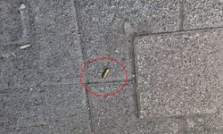 Diyarbakır'da eve silahlı saldırı