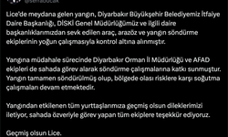 Diyarbakır'da örtü yangını; kontrol altına alındı (2)