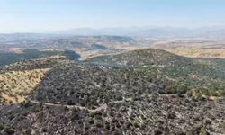 Diyarbakır'da örtü yangınında 50 dönümlük alan zarar gördü; Tahribat dronla görüntülendi