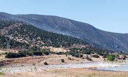 Eğirdir Gölü kenarında 2 noktada yangın (2)