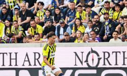 Fenerbahçe - Admira Wacker: 5-0