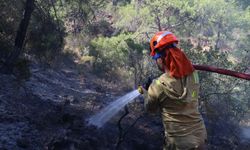Fethiye'deki orman yangınının enerjisi düşürüldü (2)