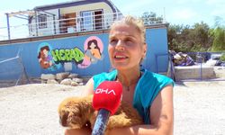 Geçici hevesle alınıp terk edilen cins köpekler, sahiplenilmeyi bekliyor