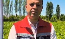Iğdır'da 7 bin dekar alanda üretilen karpuzda 30 bin ton rekolte beklentisi