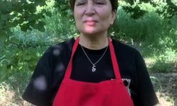 Iğdırlı kadınlar, kayısıyı güneşte kurutup ekonomiye kazandırıyor