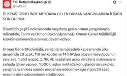 İletişim Başkanlığı'ndan yurt genelindeki orman yangınlarına ilişkin açıklama