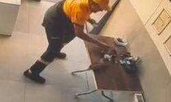 İş yerine giren kargayı kediden kurtardı; o anlar kamerada