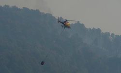 İspanya'da orman yangını: 11 ölü