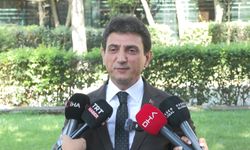 İstanbul İl Tarım Müdürü Parıldar: İstanbul'da çekirge istilasından bahsetmek mümkün değil