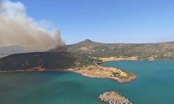 İzmir Foça'da orman yangını