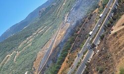 İzmir'de otluk alanda çıkan yangın, ormana sıçradı (3)