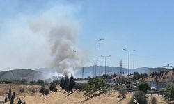 İzmir'de otluk alanda çıkan yangın, ormana sıçradı / Ek fotoğraflar