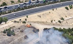 İzmir'de otluk alanda çıkan yangın, ormana sıçradı