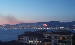 İzmir'de otluk alanda yangın