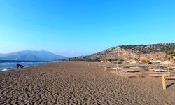 İztuzu Plajı'nda caretta carettaların yuva sayısı 400'e ulaştı