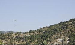 Kütahya'da orman yangını (2)