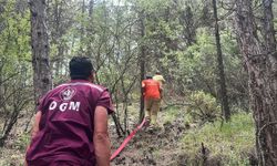 Kütahya'da orman yangını