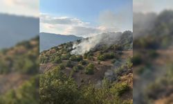 Malatya'da orman yangını 21 saat sonra kontrol altında