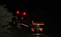 Manisa'da makilik alandaki yangın ormana sıçramadan kontrol altına alındı