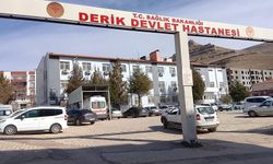 Mardin'de 15 yaşındaki kız çocuğu evde tabanca ile vurulmuş halde yaralı bulundu