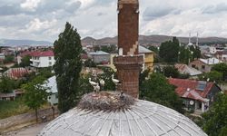 Mevsimler kayınca leylekler geç geldi