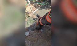 Mikserden dökülen betonda mahsur kalan yavru köpeği itfaiye kurtardı