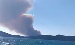 Milas'ta orman yangını