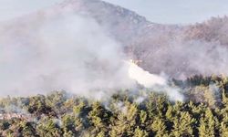 Milas'taki orman yangını 2'nci gününde (2)